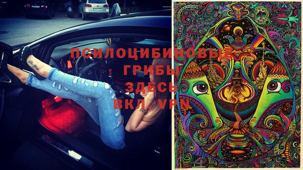 МДПВ Армянск